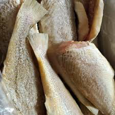 HEADLESS BROWN CROAKER FISH 10KG/CTN