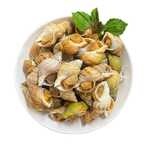 BULOT SNAIL CHILLI L/GRASS O888 500gx18pk/ctn