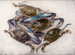 CRAB RAW BLUE SWIMMER CLEAN C/S 1kg x 6pk/ctn