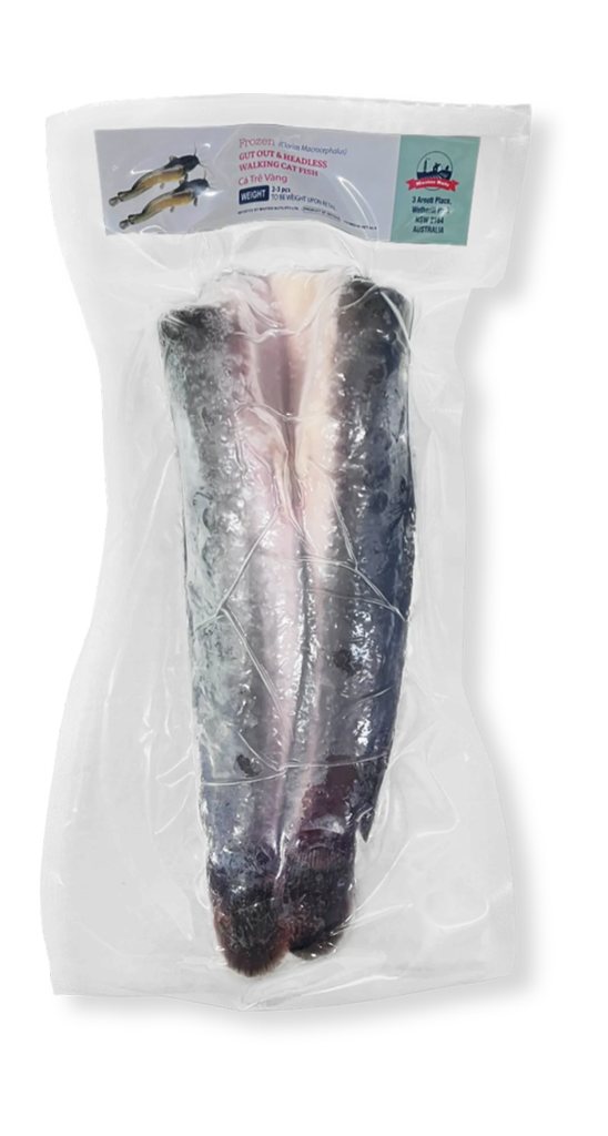 WALKING CATFISH HEADLESS M/NUT 600G X 20/ctn