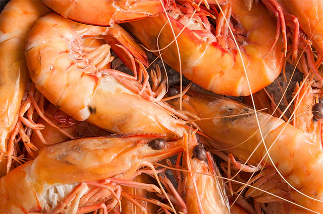 PRAWNS WHOLE COOKED 30/40 R/SEA 5kg/ctn