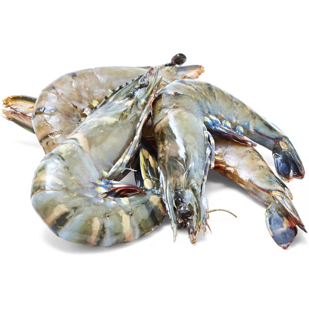 LOCAL WHOLE RAW FARMED TIGER PRAWN U8 3kg/ctn