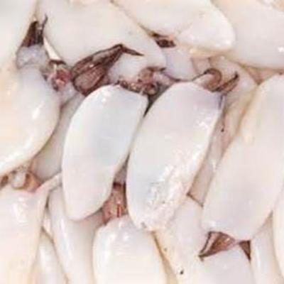 BABY SQUID MUC SUA TUI O888 500gx20pk/ctn