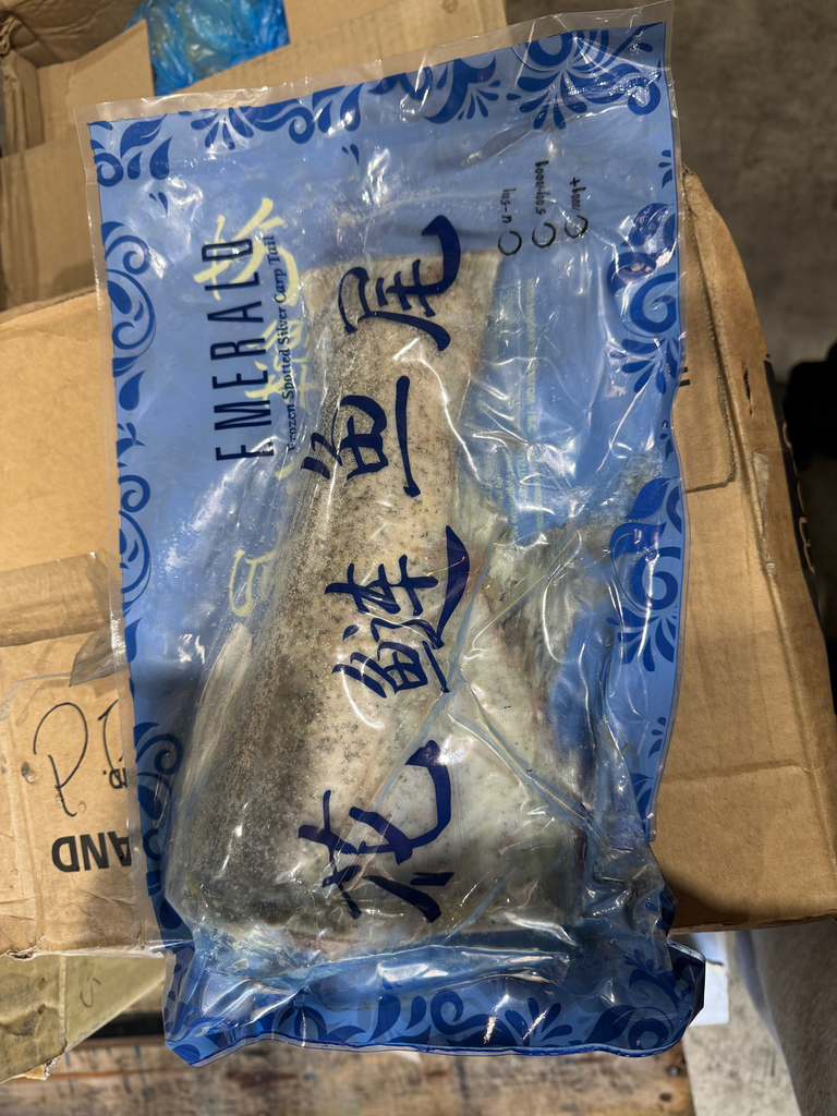SILVER CARP TAIL 500/1000 (RANDOM WEIGHT) 10KG/ctn