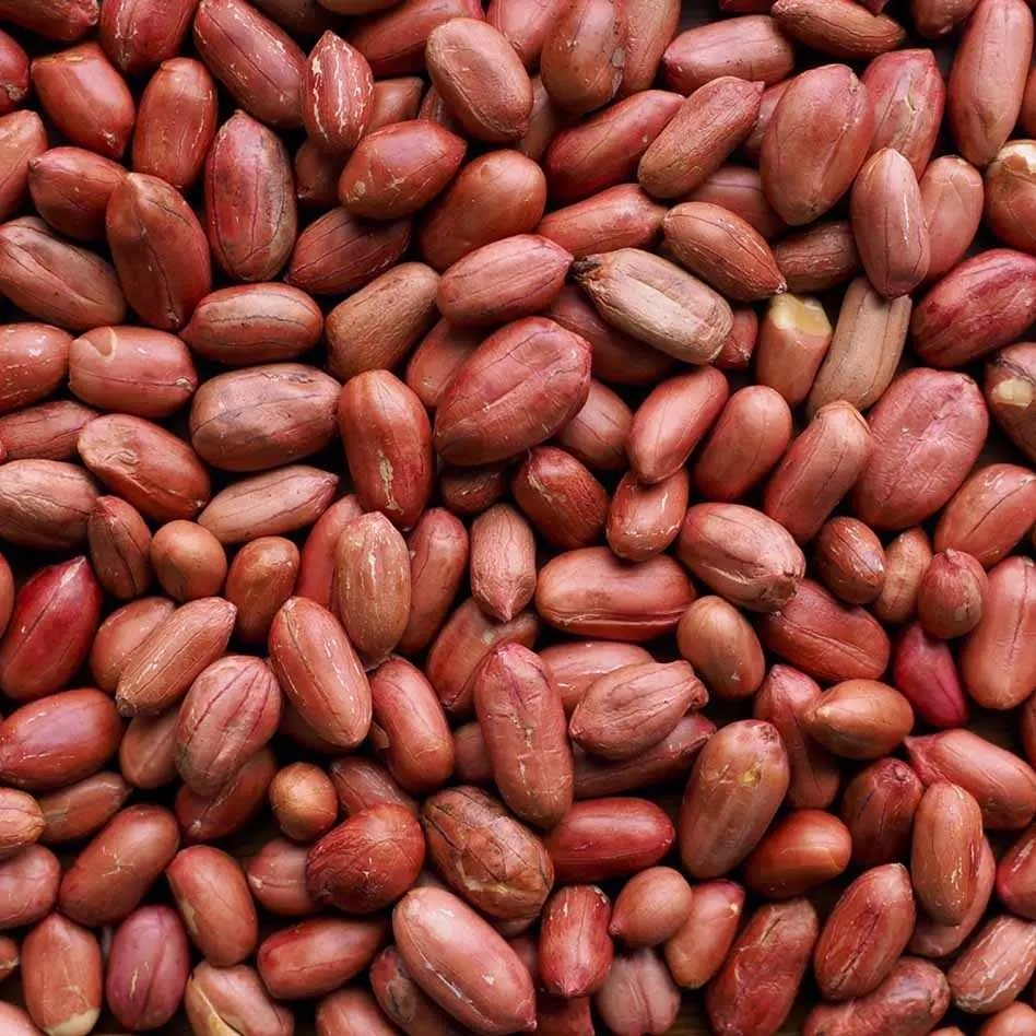 ED RED SKIN SPANISH PEANUT 红衣花生 1kg X 10pk/CTN