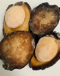 ABALONE LOCAL BLACK MEAT PRICE/KG
