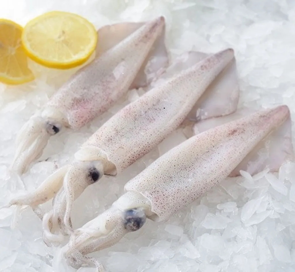 SQUID WHOLE LOCAL MEDIUM 1kg X 7pk/ctn
