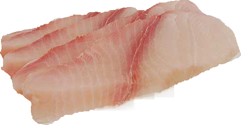 SHARK FILLET LARGE 10kg/ctn