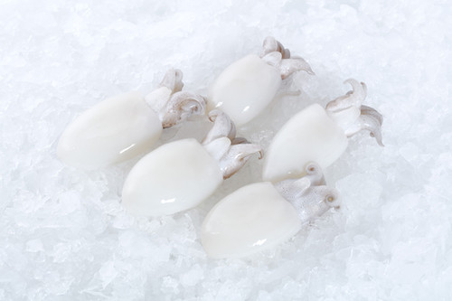 [CFBABY1620(I)] CUTTLEFISH BABY 16/20 UFE  800g x 10pk/ctn