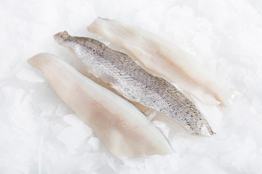 [FFWHIT500RE(I)] WHITING FILLET P/G 600gm x 5pk/ctn