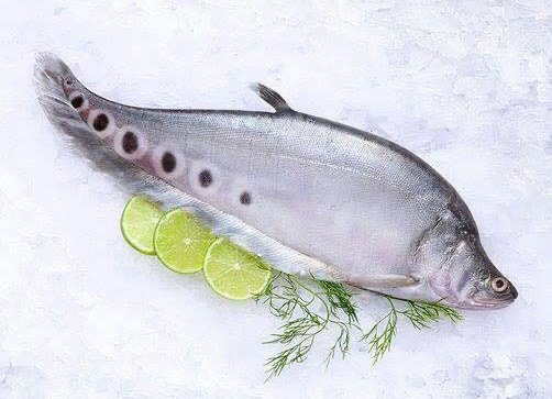 [FWFBF300(I)] FEATHER BACK WHOLE FISH M/NUT 300gm x 40pk/ctn