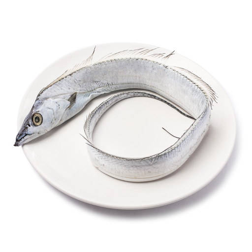 [FWHAIR500(I)] HAIRTAIL WHOLE FISH 500/800 10kg/ctn