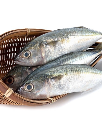 [FWINMAC(I)] INDIAN MACKEREL 1kg x 10pk/ctn