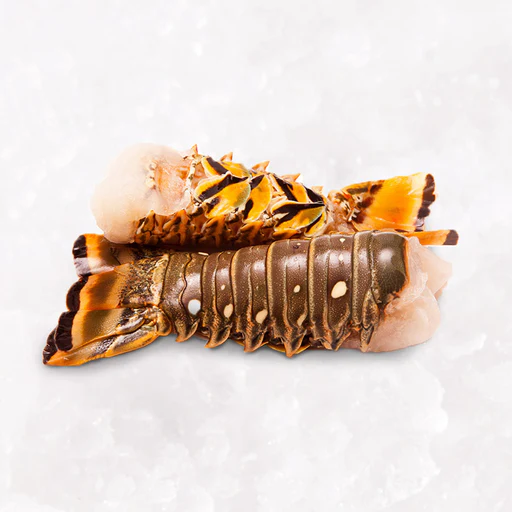 [LOBLOCAL(A)] LOBSTER TAIL TROPICAL 11.34kg/ctn