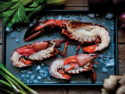 [LOBSTERSPLIT454(I)] SPLIT MAINE LOBSTER (1 X 4.54KG)(CTN)