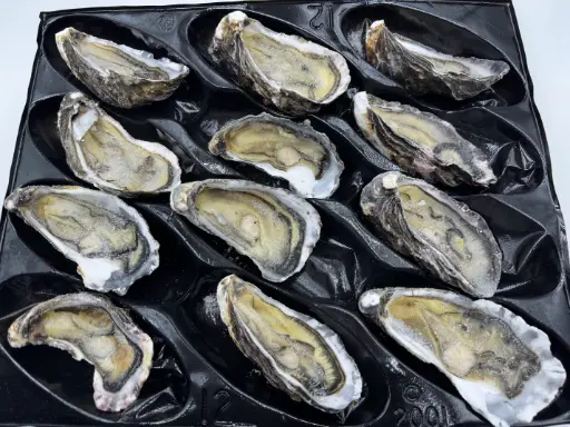 [OYSJNZ6(I)] OYSTER JUMBO 1/2 SHELL NZ 6dz/ctn