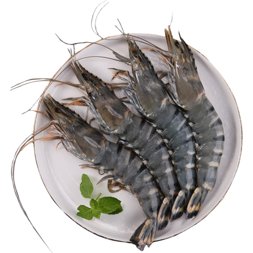 [PWU10TIG(A)] LOCAL WHOLE RAW TIGER PRAWNS U10 5kg/ctn