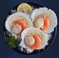 [SCAHALFSHELLXLAWS(I)] SCALLOP 1/2 SHELL ROE ON XL AWS 半壳扇贝 10pk/ctn