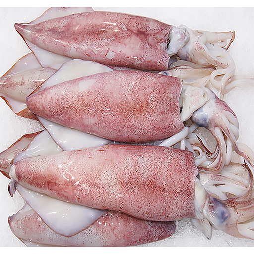[SQW68RC(I)] SQUID WHOLE 6/8 RC 1kg x 10pk/ctn