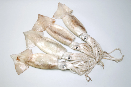 [SQWR10KAA(I)] SQUID WHOLE 10/12 AA O/KING 9kg/ctn