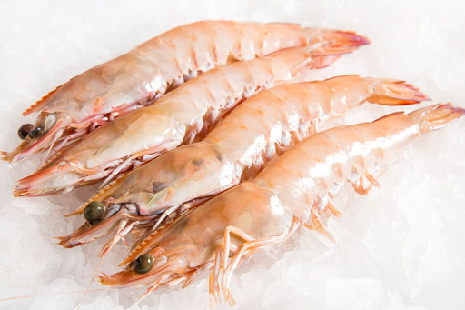 [WPU6KING(A)] U6 WHOLE GR KING PRAWNS 5kg/CTN
