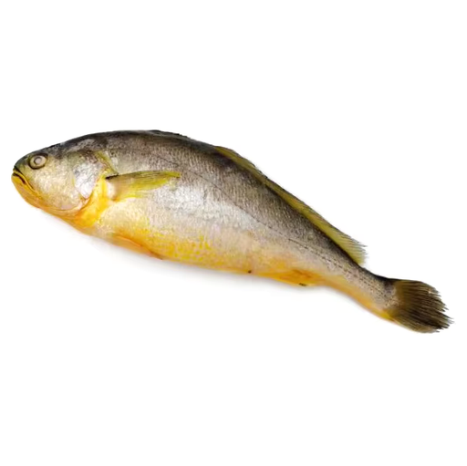 [YLWCR200(I)] YELLOW CROAKER 200/300 UFE (6002) 636gm x 12pk/ctn