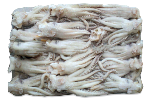 [SQTEN120TS(I)] SQUID TENTACLES 120+ T/SAIL 5kg/ctn