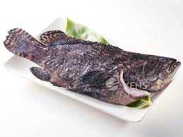 [PEAGRO1000(I)] WHOLE PEARL GROUPER GGS 1000/1200 (PC/KG)