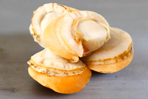 [SCP3SAUS(I)] SCALLOP MEAT 3S BOILED AUSTRAL 800g x 10pk/ctn